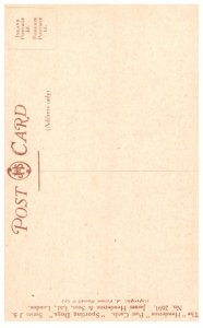 Dog , Fox Terriers ( Rough Haired )