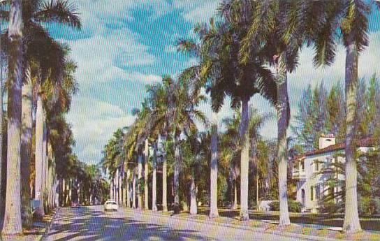 Florida Fort Myers Royal Palms At Fort Myers