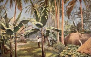 Fiji Village Scene Raphael Tuck #7601 c1910 Postcard