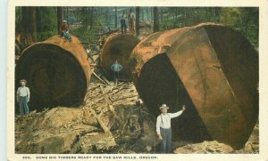 Saw Mills Oregon Logging Lumber Timbers #266 Postcard American Art 21-5804