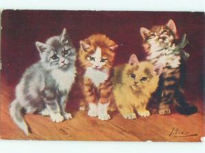 Divided-Back CUTE CAT SCENE Great Postcard AA9470