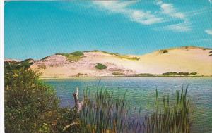 Massachusetts Cape Cod Sand Dunes 1961