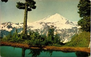 Mount Baker Washington WA Mt Shukshan Moutain Postcard VTG UNP Selithco Vintage  