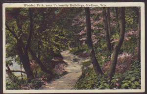 Wooded Path Near University,Madison,WI Postcard 