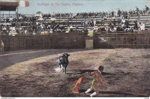 Bullfight At TIA JUANA, Mexico, 1900-10s