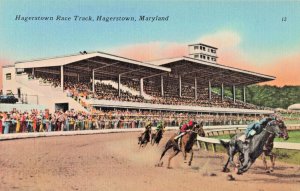 Postcard MD Hagerstown Maryland-Race Track Horses-Vintage Linen C20
