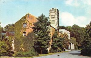 LYNCHBURG, TN Tennessee    JACK DANIEL'S HOLLOW~DISTILLERY     Chrome Postcard