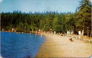 Denare Beach Beaver Lake Saskatchewan Near Flin Flon Manitoba Vintage Postcard