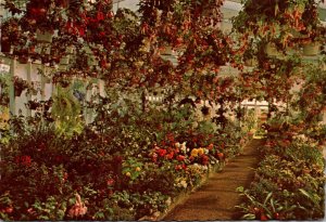 Maine Camden Merry Gardens Summer Display Of Exotic Plants