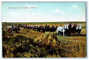 Calgary Alberta Canada Postcard Harvesting in Farm Horse Carriage c1910