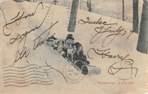 SLEDDING TOBOGGANING A JOLLY RIDE DOG QUEBEC CANADA POSTCARD 1907