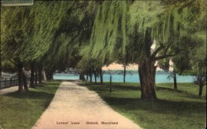 Oxford Maryland MD Lovers Lane Albertype Vintage Postcard