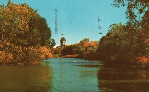 Vintage Postcard 1954 Assiniboine Park Duck Pond Park Pavilion Winnipeg Canada