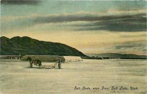 UT, Great Salt Lake, Utah, Salt Beds, Souvenir Novelty