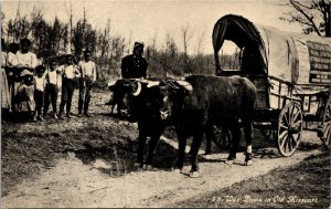 Postcard MO Black Family Oregon Trail from St. Louis to Jefferson City 1908 S82