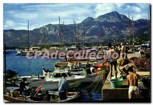 Postcard Modern Calvi Berthing The yachts