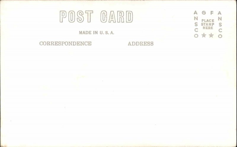 Vintage RPPC ST JOE RIVER IDAHO ID Leo's Studio Air Photo SPOKANE WASH WA