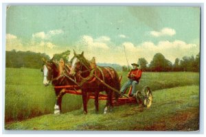 1918 Horse Field Exterior Madison Connecticut Farming Vintage Antique Postcard