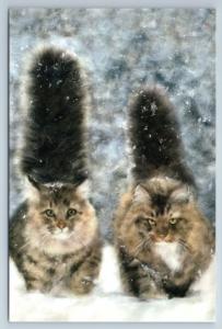 VERY SERIOUS CATS in Winter Snow Garden Art Russian Modern postcard