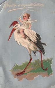 Vintage Postcard 1909 Hearty Congratulations Greetings Card Little Boy & Stork