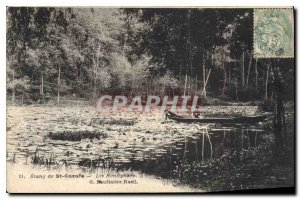 Postcard Old Pond St Cucufa The Nenuphars