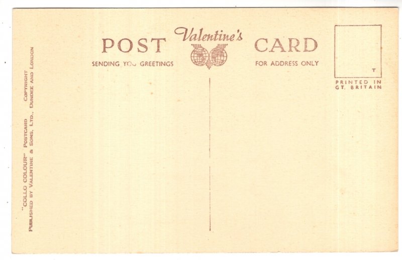 Real Photo, Trebarwith, Gull Rock, Cornwall