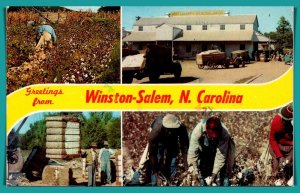 North Carolina, Winston-Salem - Greetings From - [NC-179]