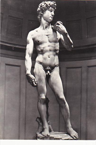 Italy Firenze David di Michelangelo