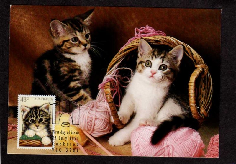 Australia Kittens Cats Basket Balls of Yarn FD Issue Stamp Australian Postcard