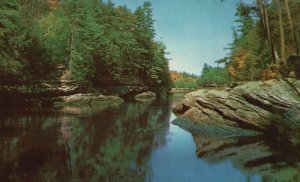 Vintage Postcard The Narrows Wisconsin Dells Forest Trees Rocky Banks Wisconsin