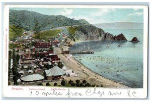 1907 Catalina Islands Avalon California CA Charles Weidner Photo Postcard