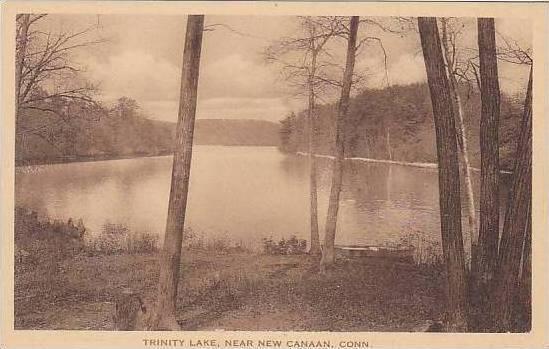 Connecticut New Canaan Trinity Lake Albertype