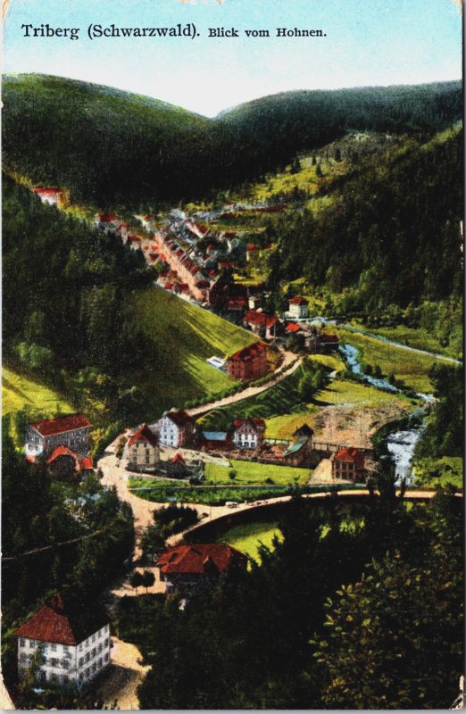 Germany Triberg Schwarzwald Blick vom Honen Vintage Postcard C088