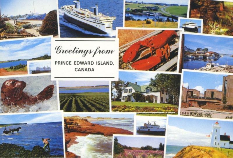 Greetings from Prince Edward Island PEI Multiview Dexter Postcard D10a