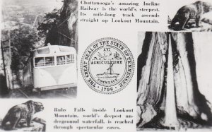 Tennessee Great Seal and Lookout Mountain Incline Railway and Ruby Falls Real...