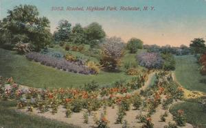 Rosebed at Highland Park - Rochester, New York - DB