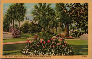 Palms and Flowers in a California Residential District Postcard PC348
