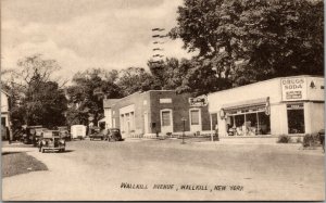 Vtg 1950s Wallkill Avenue Wallkill New York NY Storefronts Old Cars Postcard