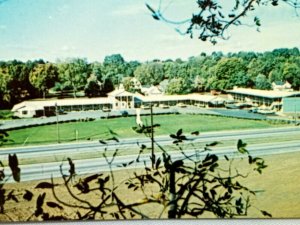 Vintage Postcard 1970's Black Horse Motel West Springfield MA US Route 5 
