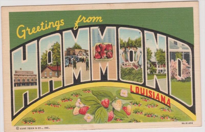 LP54  LARGE letter, Hammond, Louisiana, LA, postcard, PU1947