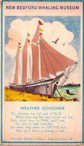 New Bedford Whaling Museum Weather Schooner Felt Sails