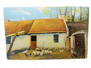 IRISH LIFE  Farmyard Scene HOME~ANIMALS  ca1920's Vintage Antique Postcard