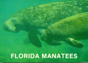 Florida Homosassa Springs Manatees Amanda and Star