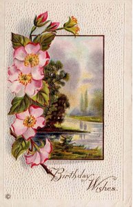 Birthday Day Wishes Embossed Postcard / Vintage 1918 Floral Stecher Litho