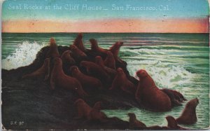 Seal Rocks at the Cliff House San Francisco California Vintage Postcard C105