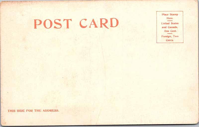 Postcard PARK SCENE Brooklyn New York NY AL1960