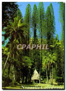 Postcard Modern New Caledonia Tribe Small Couli