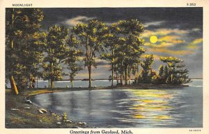 Greetings From Gaylord Moon Light Gaylord MI 