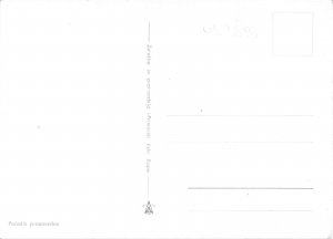 US3859 Ponatis Prepovedan Boy with Presents, Happy Christmas koper