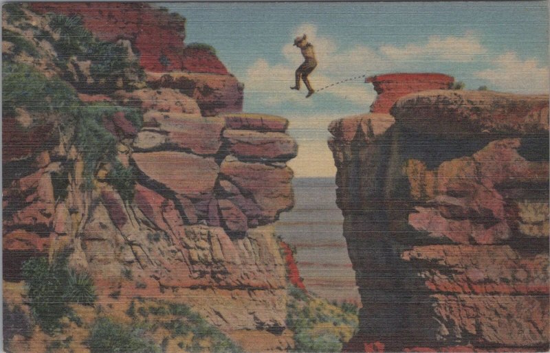 Postcard Leap for Life Grand Canyon Arizona AZ